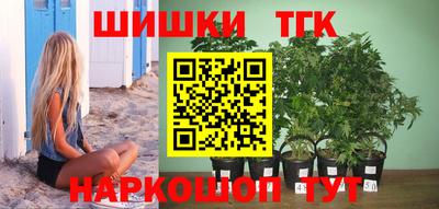 тгк Будённовск