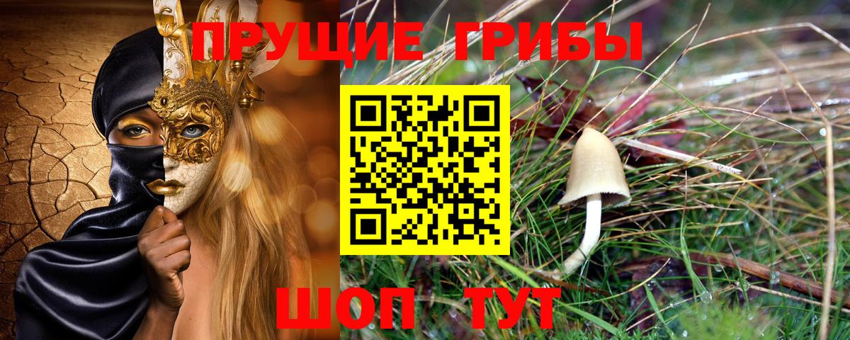 Сальск  Псилоцибиновые грибы мицелий  Вход с VPN 